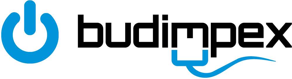 Budimpex IT – lokalny operator internetu i usług IT w Żychlinie